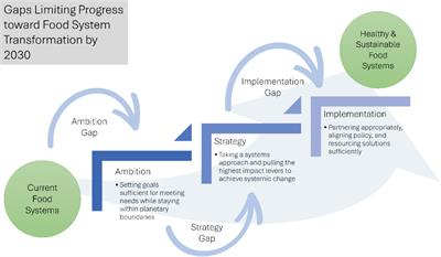 Theories of change: navigating diverse expert perceptions and preferences for global food system transformation